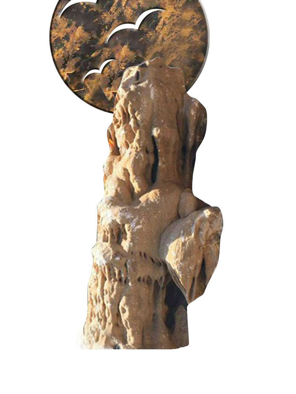 Flying into the sunset