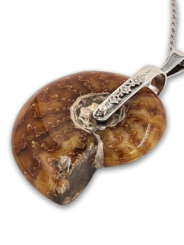 Spiral pendant - Fossil