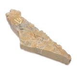 Authentic Handmade Mezuzah cover from the floor of the western wall in Jerusalem