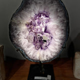 Amethyst Colony slice