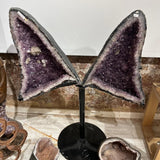Amethyst butterfly Geods