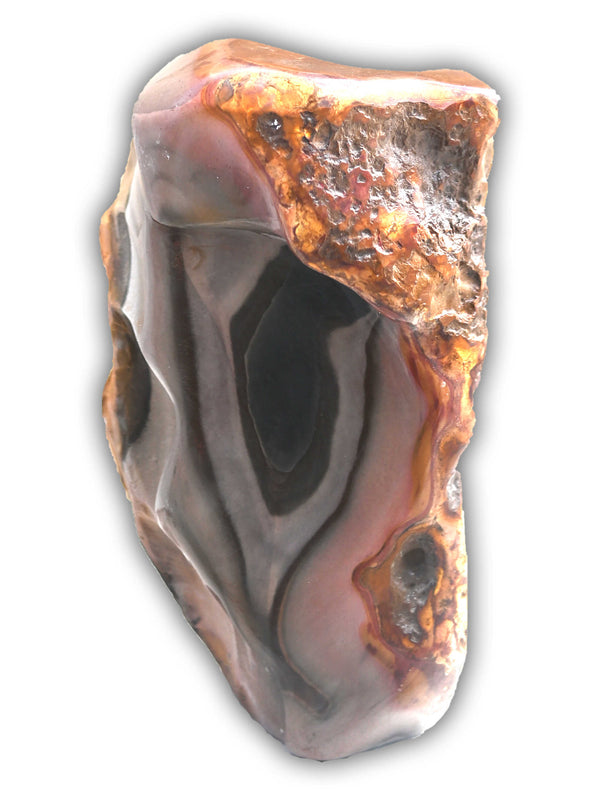 Picasso as the artist makes him