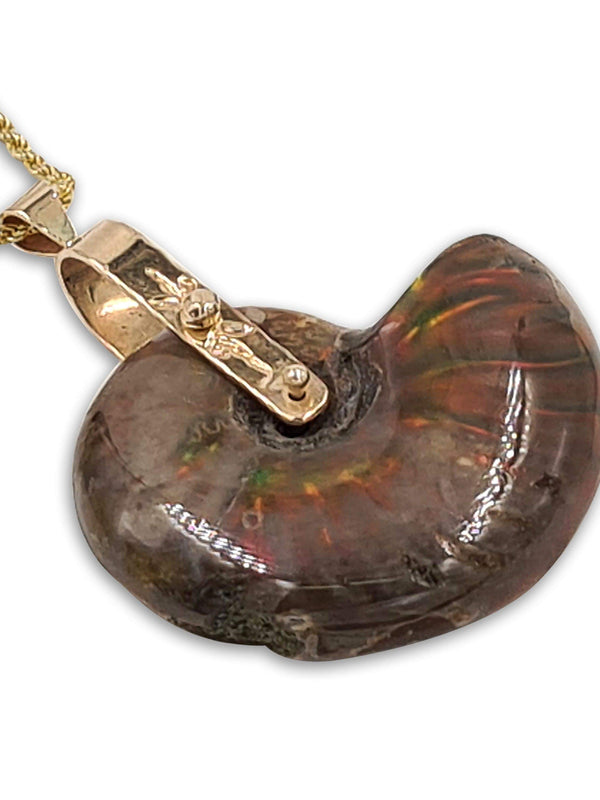 Spiral pendant - Fossil