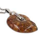 Spiral pendant - Fossil-Agat Art Design LTD-14K Gold,45,50,55,fossil,silver