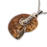 Spiral pendant - Fossil
