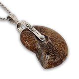 Spiral pendant - Fossil